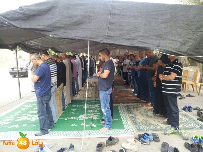 salah 3ed dahmash (7).JPG